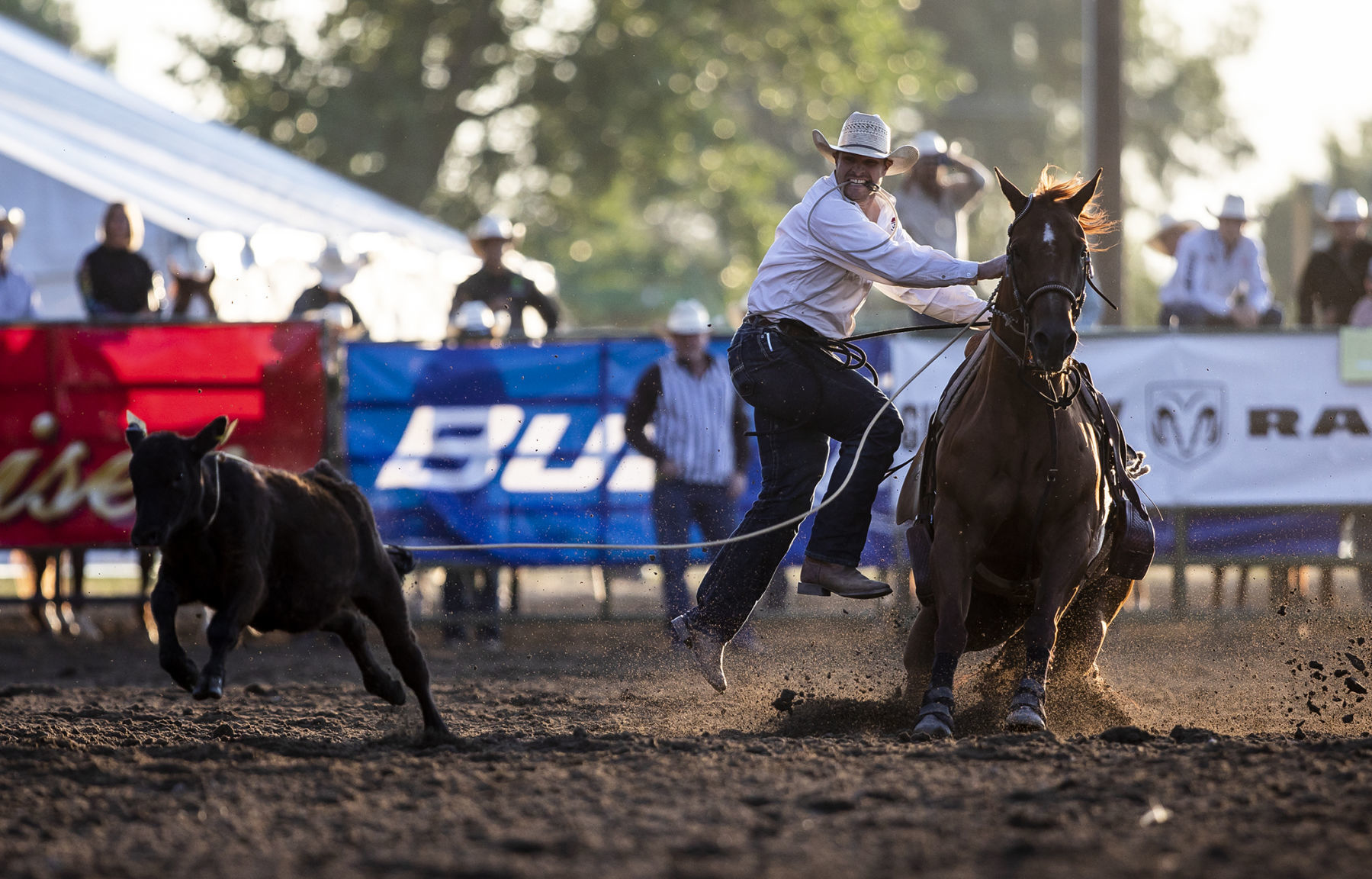 Rodeo